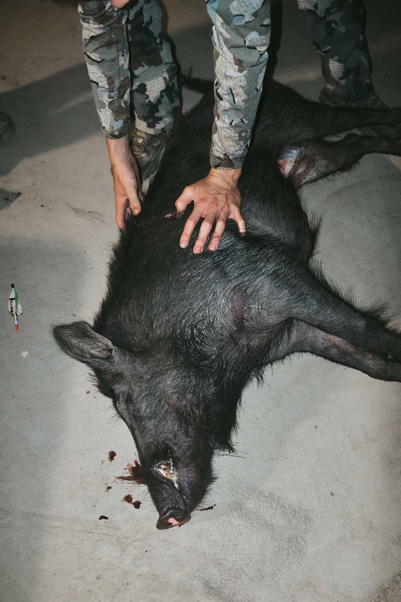 20220412_BorchardPhoto_JLeePigs_3717